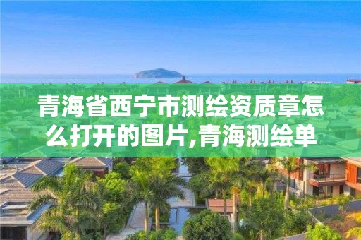 青海省西宁市测绘资质章怎么打开的图片,青海测绘单位。