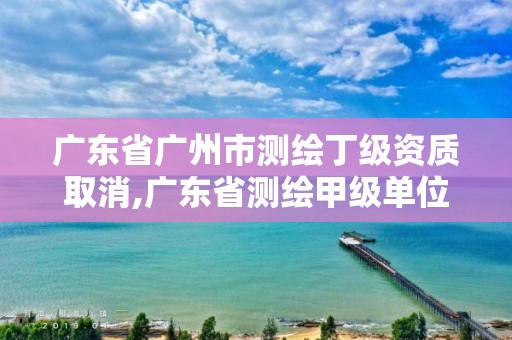 广东省广州市测绘丁级资质取消,广东省测绘甲级单位