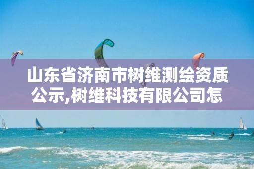 山东省济南市树维测绘资质公示,树维科技有限公司怎么样