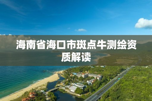 海南省海口市斑点牛测绘资质解读