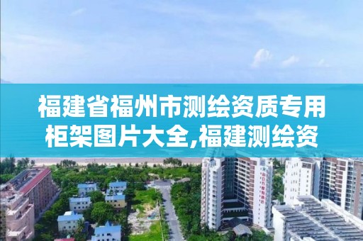 福建省福州市测绘资质专用柜架图片大全,福建测绘资质公司