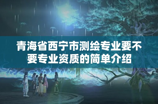 青海省西宁市测绘专业要不要专业资质的简单介绍