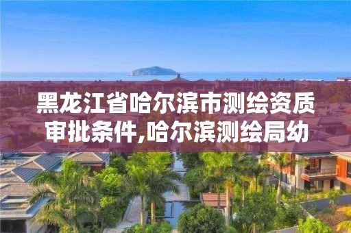 黑龙江省哈尔滨市测绘资质审批条件,哈尔滨测绘局幼儿园是民办还是公办