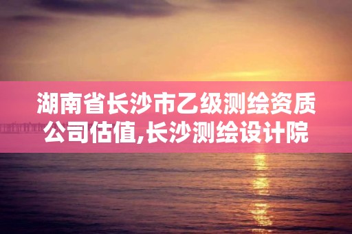 湖南省长沙市乙级测绘资质公司估值,长沙测绘设计院。