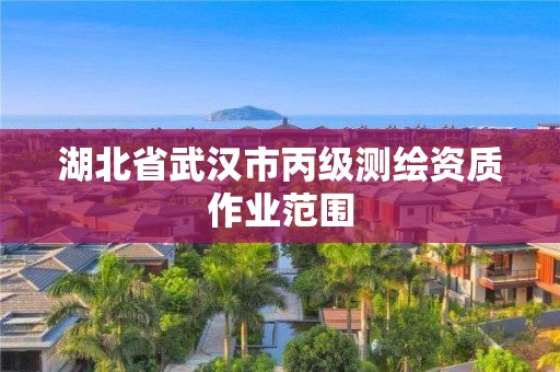 湖北省武汉市丙级测绘资质作业范围