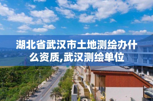 湖北省武汉市土地测绘办什么资质,武汉测绘单位