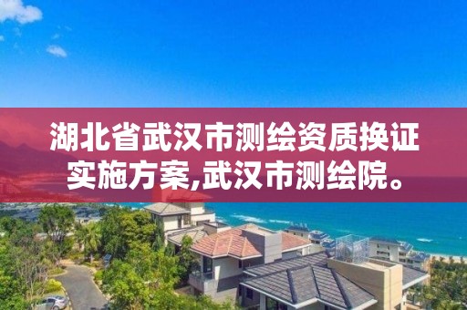 湖北省武汉市测绘资质换证实施方案,武汉市测绘院。