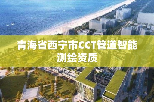 青海省西宁市CCT管道智能测绘资质