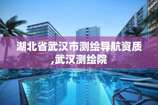 湖北省武汉市测绘导航资质,武汉测绘院