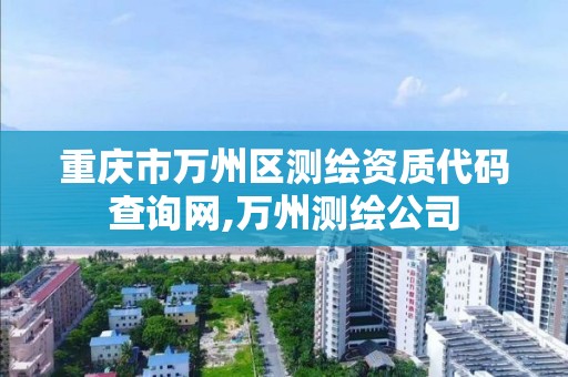 重庆市万州区测绘资质代码查询网,万州测绘公司