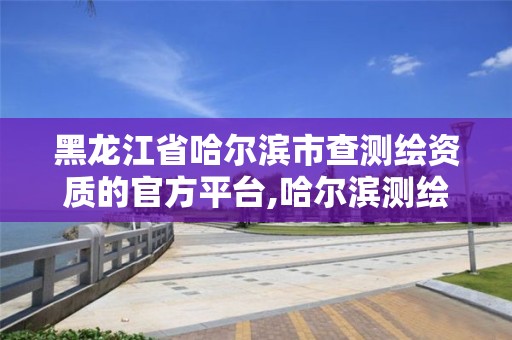 黑龙江省哈尔滨市查测绘资质的官方平台,哈尔滨测绘局幼儿园是民办还是公办