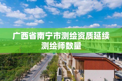 广西省南宁市测绘资质延续测绘师数量