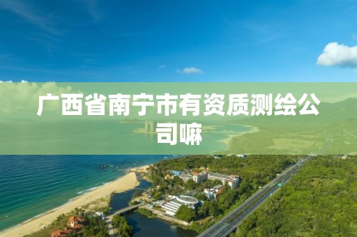 广西省南宁市有资质测绘公司嘛