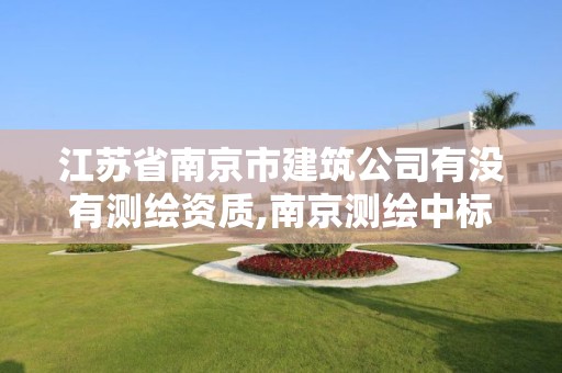 江苏省南京市建筑公司有没有测绘资质,南京测绘中标。