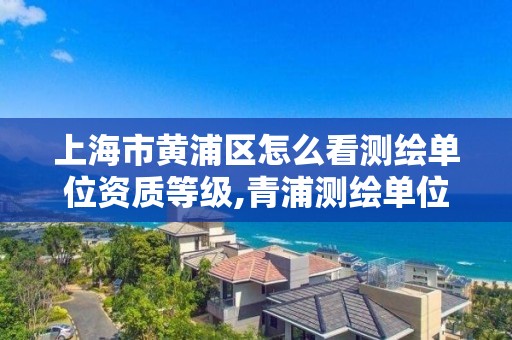 上海市黄浦区怎么看测绘单位资质等级,青浦测绘单位