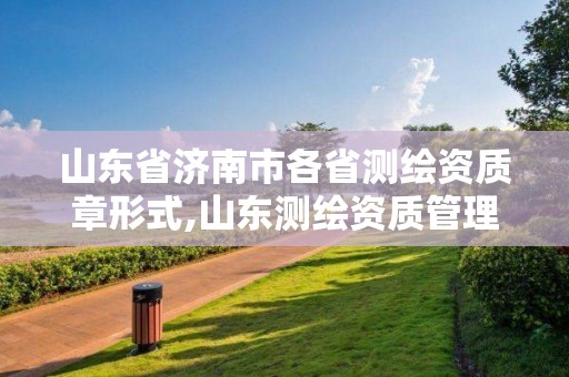 山东省济南市各省测绘资质章形式,山东测绘资质管理平台