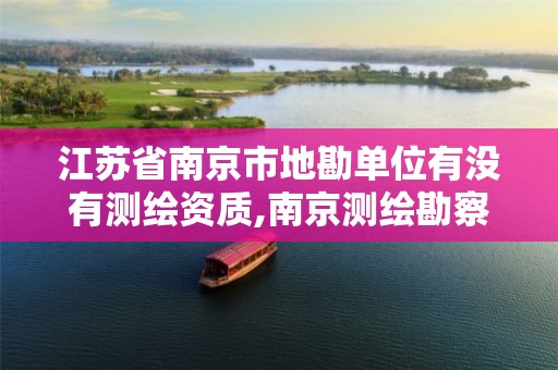 江苏省南京市地勘单位有没有测绘资质,南京测绘勘察研究股份有限公司