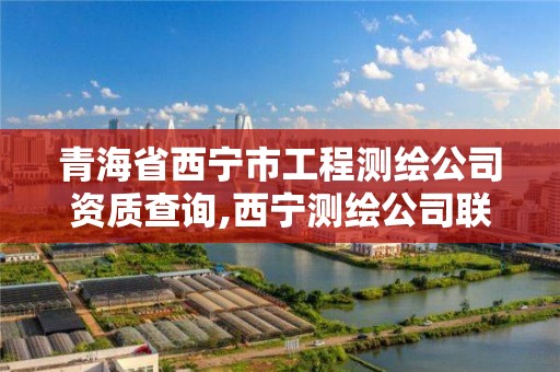 青海省西宁市工程测绘公司资质查询,西宁测绘公司联系方式