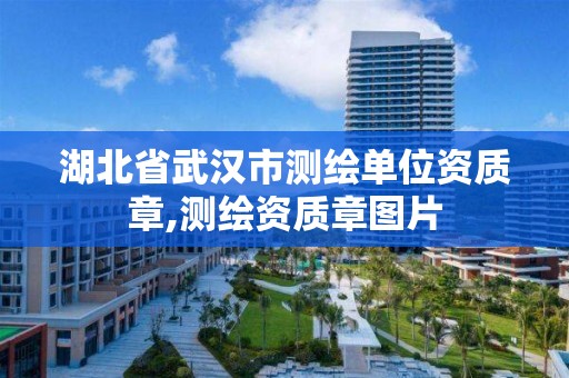 湖北省武汉市测绘单位资质章,测绘资质章图片