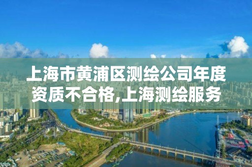 上海市黄浦区测绘公司年度资质不合格,上海测绘服务中心。