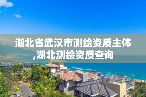 湖北省武汉市测绘资质主体,湖北测绘资质查询