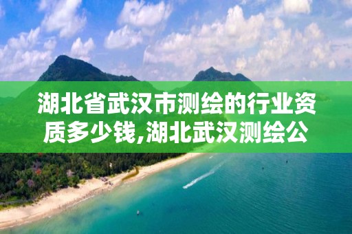 湖北省武汉市测绘的行业资质多少钱,湖北武汉测绘公司排行榜。