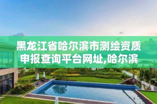 黑龙江省哈尔滨市测绘资质申报查询平台网址,哈尔滨测绘局幼儿园是民办还是公办。