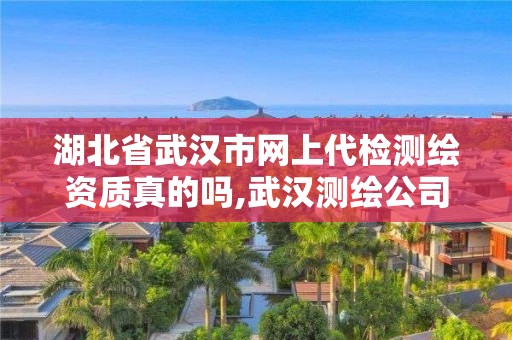 湖北省武汉市网上代检测绘资质真的吗,武汉测绘公司排名。