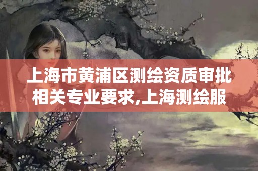 上海市黄浦区测绘资质审批相关专业要求,上海测绘服务中心