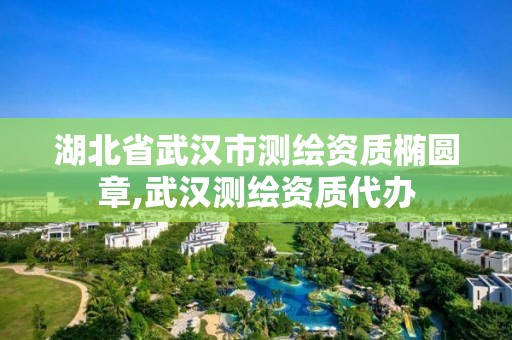 湖北省武汉市测绘资质椭圆章,武汉测绘资质代办