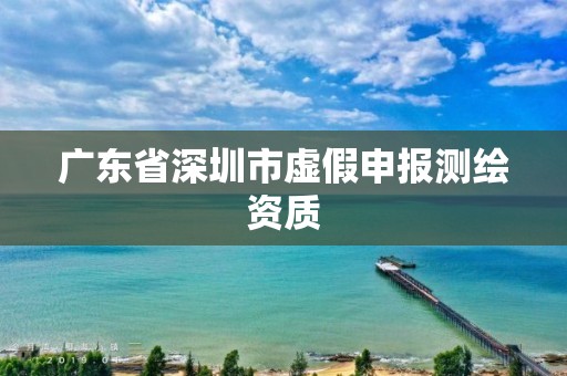 广东省深圳市虚假申报测绘资质