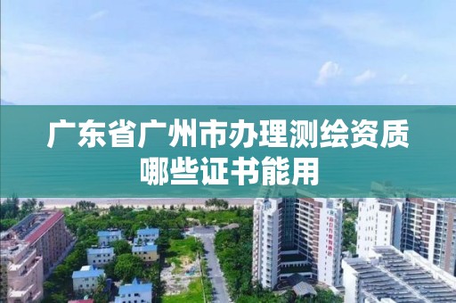 广东省广州市办理测绘资质哪些证书能用