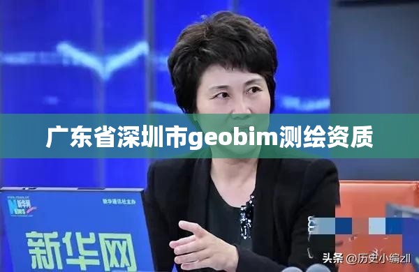 广东省深圳市geobim测绘资质