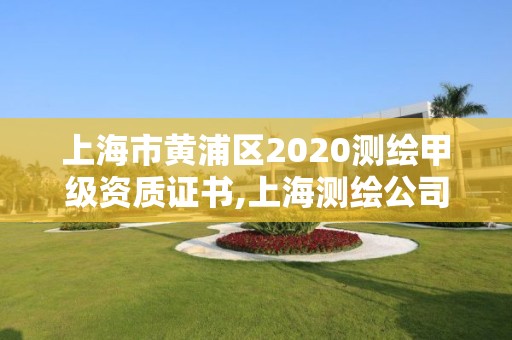 上海市黄浦区2020测绘甲级资质证书,上海测绘公司有哪几家。