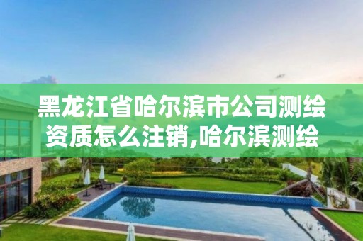 黑龙江省哈尔滨市公司测绘资质怎么注销,哈尔滨测绘局是干什么的