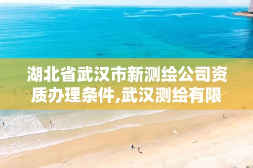 湖北省武汉市新测绘公司资质办理条件,武汉测绘有限公司。