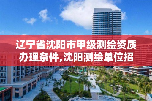 辽宁省沈阳市甲级测绘资质办理条件,沈阳测绘单位招聘