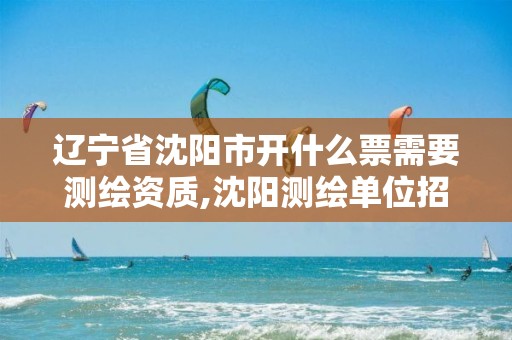 辽宁省沈阳市开什么票需要测绘资质,沈阳测绘单位招聘