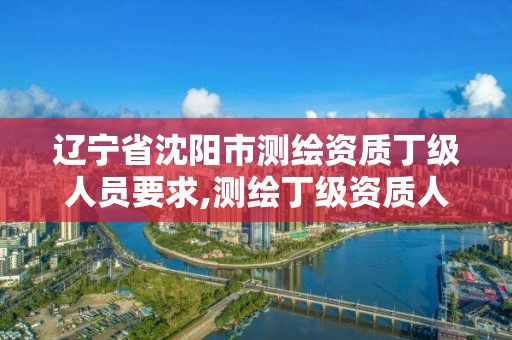 辽宁省沈阳市测绘资质丁级人员要求,测绘丁级资质人员条件