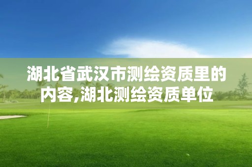 湖北省武汉市测绘资质里的内容,湖北测绘资质单位