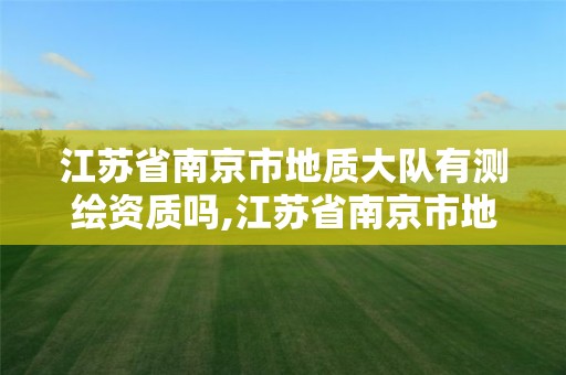 江苏省南京市地质大队有测绘资质吗,江苏省南京市地质工程勘察院