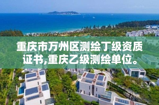 重庆市万州区测绘丁级资质证书,重庆乙级测绘单位。