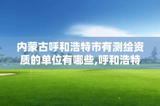 内蒙古呼和浩特市有测绘资质的单位有哪些,呼和浩特测绘院。