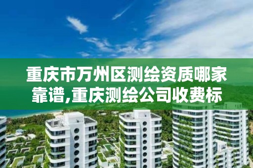 重庆市万州区测绘资质哪家靠谱,重庆测绘公司收费标准