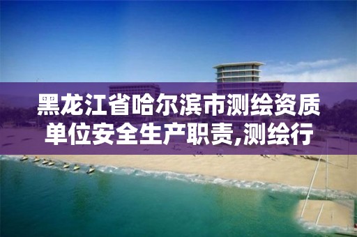 黑龙江省哈尔滨市测绘资质单位安全生产职责,测绘行业安全生产标准