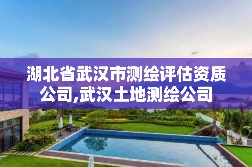 湖北省武汉市测绘评估资质公司,武汉土地测绘公司