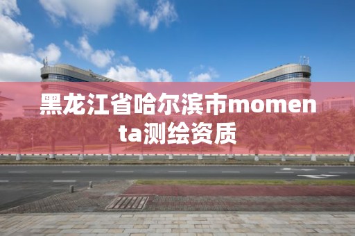 黑龙江省哈尔滨市momenta测绘资质