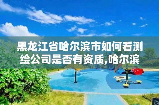 黑龙江省哈尔滨市如何看测绘公司是否有资质,哈尔滨测绘局工资怎么样。