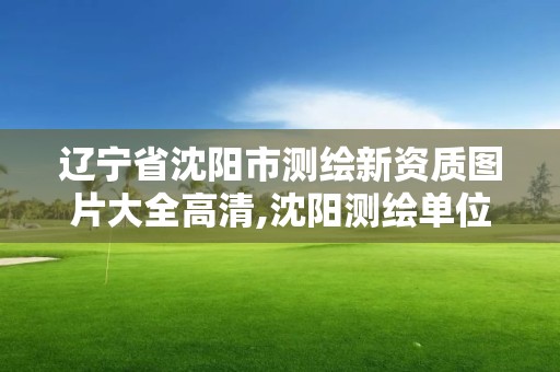 辽宁省沈阳市测绘新资质图片大全高清,沈阳测绘单位排名