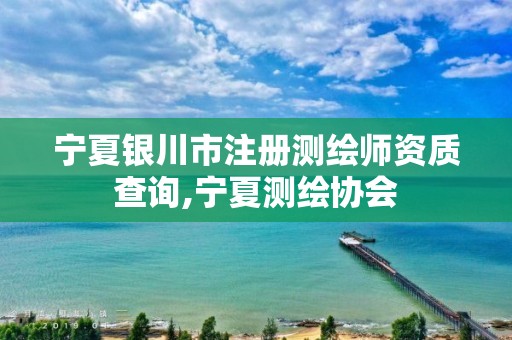 宁夏银川市注册测绘师资质查询,宁夏测绘协会